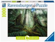 Opakowanie Puzzle 1000 Lasy