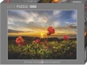 Opakowanie Puzzle 1000 Malina Nordycka z zachodem słońca