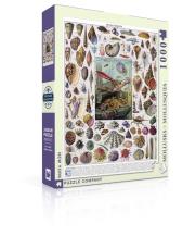 Opakowanie Puzzle 1000 Mięczaki, Collage