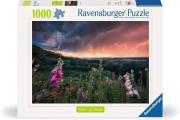 Opakowanie Puzzle 1000 Nadchodzi burza
