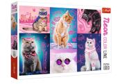 Opakowanie Puzzle 1000 Neon Color Line - Super cats TREFL