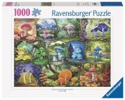Opakowanie Puzzle 1000 Piekne grzyby