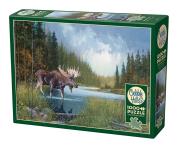 Opakowanie Puzzle 1000 Spacer nad rzeką G3