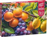 Opakowanie Puzzle 1000 Sunny Fruits 30738