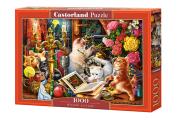 Opakowanie Puzzle 1000 Wizard Kittens CASTOR