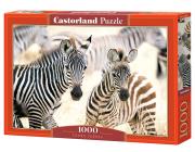 Opakowanie Puzzle 1000 Young Zebras CASTOR
