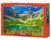 Opakowanie Puzzle 1000 Zelene Pleso, Tatras, Slovakia CASTOR