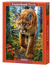 Opakowanie Puzzle 1500 Mountain Lion In The Forest CASTOR