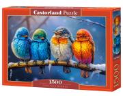 Opakowanie Puzzle 1500 Together Warmer