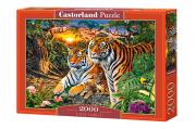 Opakowanie Puzzle 2000 el. C-200825 Tiger Family