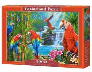 Opakowanie Puzzle 2000 Parrot Meeting CASTOR