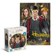 Puzzle 250 Harry Potter i przyjaciele. Wydawca: Dodo. Dadada.pl Opakowanie Puzzle 250 Harry Potter i przyjaciele