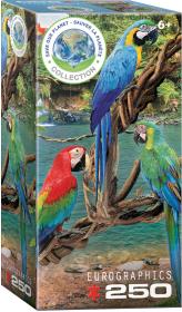 Puzzle 250 Macaws 8251-5588. Wydawca: Eurographics. Dadada.pl Opakowanie Puzzle 250 Macaws 8251-5588