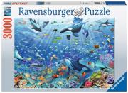 Opakowanie Puzzle 3000 Podwodny świat