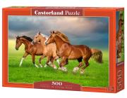 Opakowanie Puzzle 500 Horses in Spring Rush
