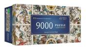 Opakowanie Puzzle 9000 Ancient Celestial Maps TREFL