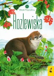 Rozlewiska. Młodzi przyrodnicy. Autor: Patrycja Zarawska. Dadada.pl Okładka książki Rozlewiska. Młodzi przyrodnicy