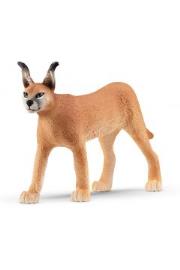 Opakowanie Samica karakala