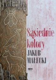 Sąsiednie kolory. Autor: Małecki Jakub. Dadada.pl Okładka książki Sąsiednie kolory