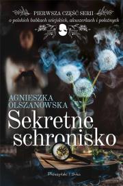 Sekretne schronisko DL. Autor: Olszanowska Agnieszka. Dadada.pl Okładka książki Sekretne schronisko DL
