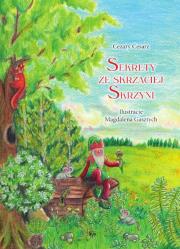 Okładka książki Sekrety ze skrzaciej skrzyni