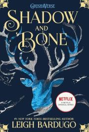 Shadow and Bone. Autor: Bardugo Leigh. Dadada.pl Okładka książki Shadow and Bone
