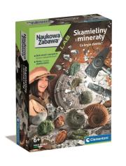 Opakowanie Skamieliny i mineraly