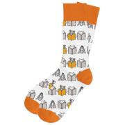 Opakowanie Skarpetki Czytające zwierzaki 34-37