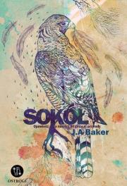Sokół. Opowieść o miłości do ginącej przyrody. Autor: John Alec Baker. Dadada.pl Okładka książki Sokół. Opowieść o miłości do ginącej przyrody