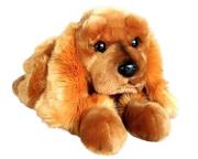 Opakowanie Spaniel 62cm