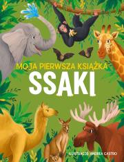 Ssaki. Moja pierwsza książka. Autor: Eliza Jeffery. Dadada.pl Okładka książki Ssaki. Moja pierwsza książka