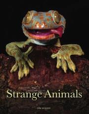 Strange Animals. Autor: Jackson Tom. Dadada.pl Okładka książki Strange Animals