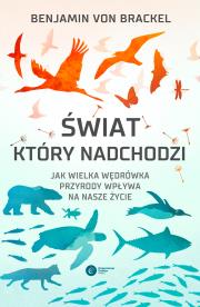 Świat, który nadchodzi. Autor: Katarzyna Łakomik. Dadada.pl Okładka książki Świat, który nadchodzi