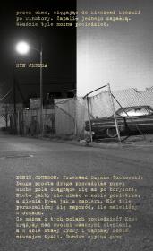 Syn Jezusa. Autor: Denis Johnson. Dadada.pl Okładka książki Syn Jezusa