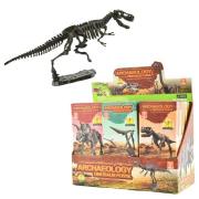 Opakowanie Szkielet dinozaura 3D (12szt)