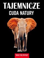 Tajemnicze cuda natury. Świat niezwykły. Autor: Patrycja Zarawska. Dadada.pl Okładka książki Tajemnicze cuda natury. Świat niezwykły