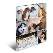 Opakowanie Teczka A4 gumki narożne - Psy