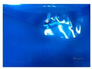 Opakowanie Teczka A4+ plastikowa z klipsem Niebieska