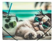 Teczka A4 PP na gumkę z nadrukiem Chillout Cat. Wydawca: Centrum. Dadada.pl Opakowanie Teczka A4 PP na gumkę z nadrukiem Chillout Cat