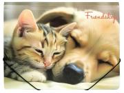 Teczka A4 PP na gumkę z nadrukiem Friendship. Wydawca: Centrum. Dadada.pl Opakowanie Teczka A4 PP na gumkę z nadrukiem Friendship