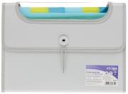 Opakowanie Teczka A4 Vfile z 6 przekładkami szara STRIGO