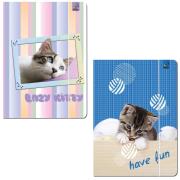 Opakowanie Teczka A4 z gumką Best Friend Koty