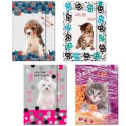 Opakowanie Teczka A4 z gumką Best Friend zwierzaki