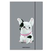 Teczka A4 z gumką FUN Pies 10 sztuk. Wydawca: Narcissus. Dadada.pl Opakowanie Teczka A4 z gumką FUN Pies 10 sztuk