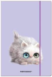 Opakowanie Teczka A4 z gumką Kotek