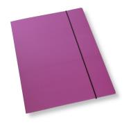 Teczka A4 z gumką lakier fioletowa 350gsm (10szt). Wydawca: PENWORD. Dadada.pl Opakowanie Teczka A4 z gumką lakier fioletowa 350gsm (10szt)
