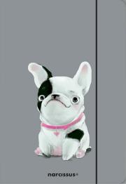 Teczka A4 z gumką Pies. Wydawca: Narcissus. Dadada.pl Opakowanie Teczka A4 z gumką Pies