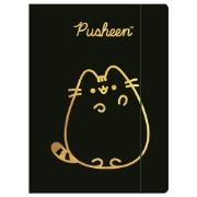 Opakowanie Teczka A4 z gumką Pusheen Gold paczka 10 szt.