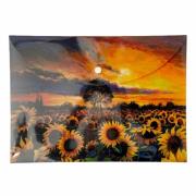 Teczka kopertowa PP A4 Słoneczniki. Wydawca: Narcissus. Dadada.pl Opakowanie Teczka kopertowa PP A4 Słoneczniki