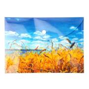 Teczka kopertowa PP A5 Niebo. Wydawca: Narcissus. Dadada.pl Opakowanie Teczka kopertowa PP A5 Niebo